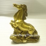 ngua-dong-lon-g253-2