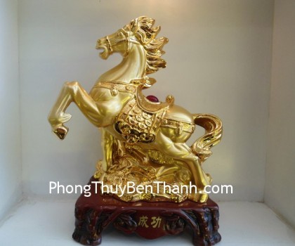 ngua-thanh-cong-y363-02