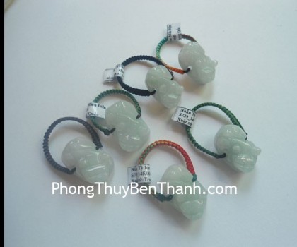 nhan-ty-huu-mien-dien-s739