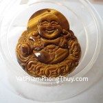 phat-di-lac-mat-meo-tinh-xao-01