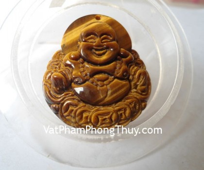 phat-di-lac-mat-meo-tinh-xao-01