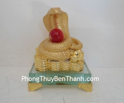 ran-nang-khuc-y353-02