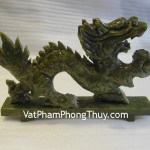 rong-lam-ngoc-lon-r100-2