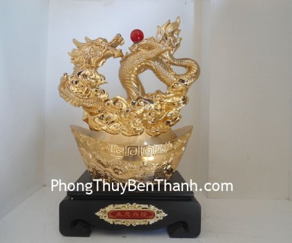 rong-nha-ngoc-y234-02