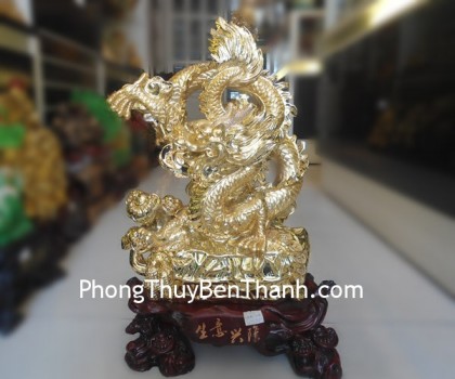 rong-sanh-y-hung-long-vang-Y232-02