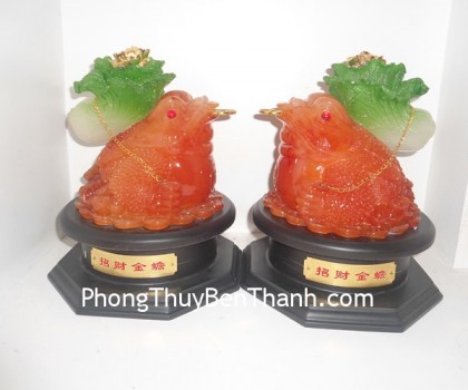 thiem-thu-bap-cai-02