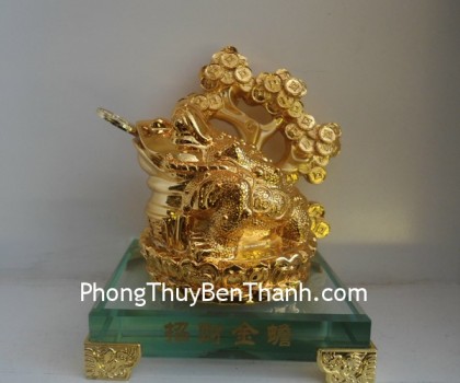 thiem-thu-cay-tai-loc-Y70