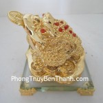 thiem-thu-tren-de-thuy-tinh-y078-01