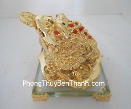 thiem-thu-tren-de-thuy-tinh-y078-01