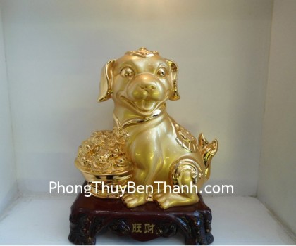 tuat-vuong-tai-y366-02