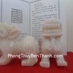 ty-huu-bac-kinh-trang-chuan-01