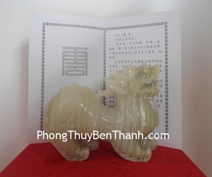 ty-huu-bac-kinh-xanh-02