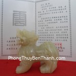 ty-huu-bac-kinh-xanh-chuan