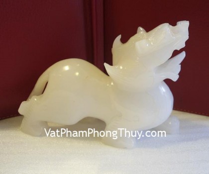 ty-huu-bach-ngoc-bn05-2