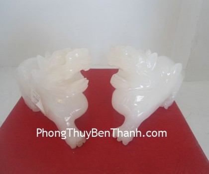 ty-huu-bach-ngoc-bn06-01