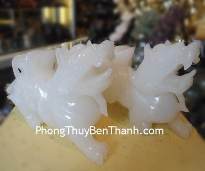 ty-huu-bach-ngoc-cong-tien-02