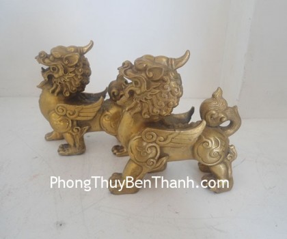 ty-huu-canh-tron-d1113-01