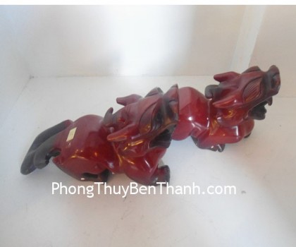 ty-huu-do-den-d105-01