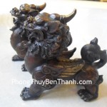 ty-huu-dong-mau-den-02