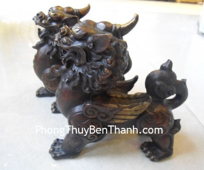 ty-huu-dong-mau-den-02