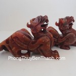 ty-huu-gan-huyet-do-011