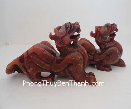 ty-huu-gan-huyet-do-011