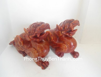 ty-huu-gan-huyet-do-dt104