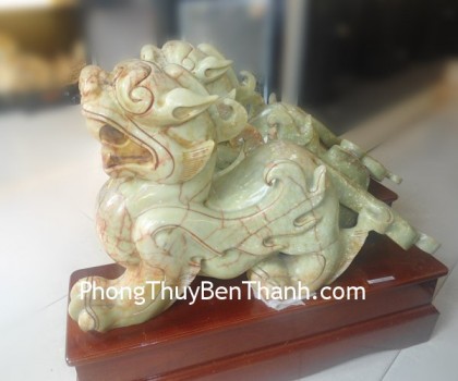 ty-huu-gan-huyet-xanh-02