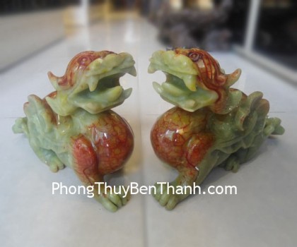 ty-huu-gan-huyet-xanh-dt101-05