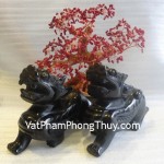 ty-huu-hac-nga-lon-m017-2