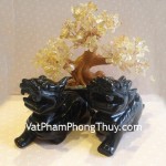 ty-huu-hac-nga-nho-m019-2