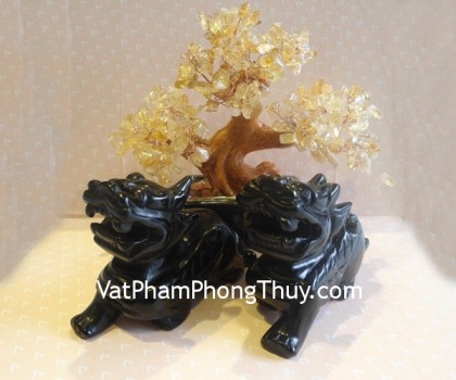 ty-huu-hac-nga-nho-m019-2