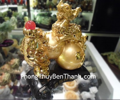 ty-huu-ho-lo-y022-02