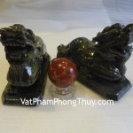 ty-huu-lam-ngoc-dung-co-de-r010-2