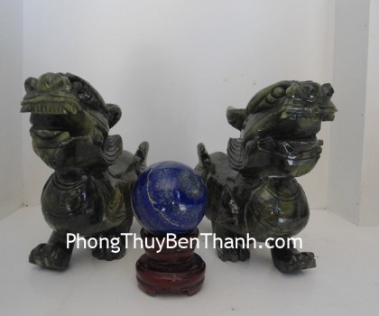 ty-huu-lam-ngoc-trung-dt111