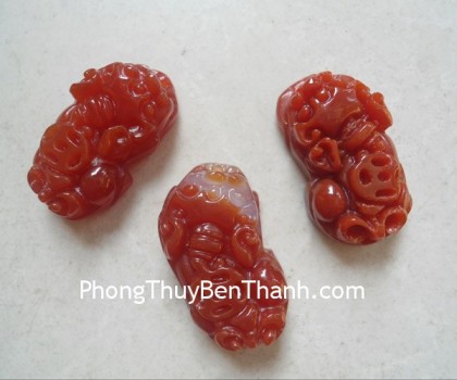 ty-huu-ma-nao-do-nho-s725