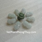 ty-huu-mat-nhan-s956