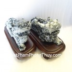 ty-huu-ngoc-phi-thuy-th13-7