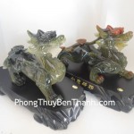 ty-huu-nhu-y-y005-01