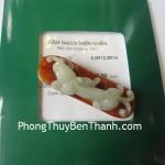 ty-huu-phi-thuy-s819-02