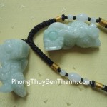 ty-huu-phi-thuy-vay-rong-s717