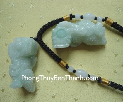 ty-huu-phi-thuy-vay-rong-s717