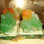 ty-huu-sanh-tai-y039