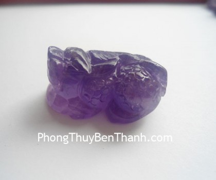 ty-huu-thach-anh-tim-vay-rong-s763