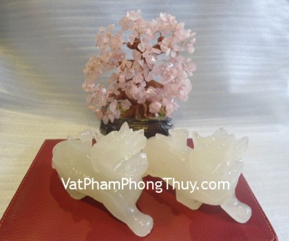 ty-huu-thanh-ngoc-cong-nhu-y-m012-2