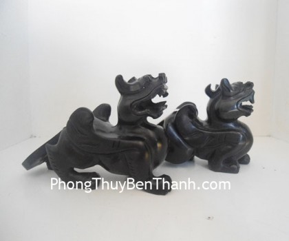 ty-huu-tieu-ngoc-dt103