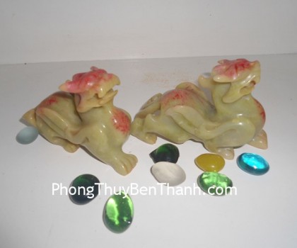 ty-huu-tieu-ngoc-gan-huyet-nho-02