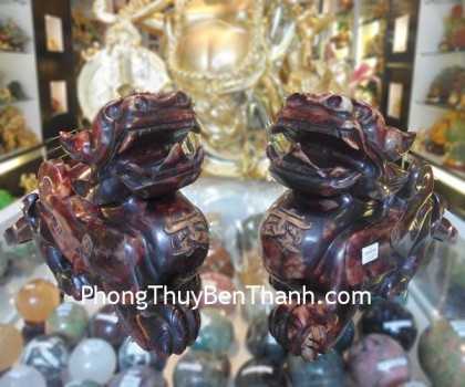 ty-huu-tieu-ngoc-nau-02