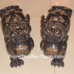 ty-huu-tieu-ngoc-tn03-01