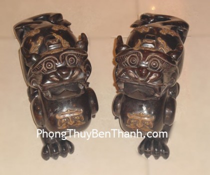 ty-huu-tieu-ngoc-tn03-01